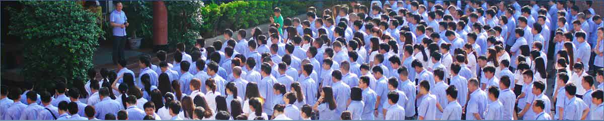 萝卜视频高清观看免费下载实力